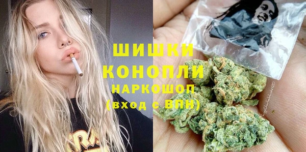 тгк Медногорск